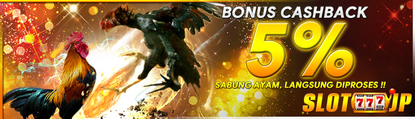 BONUS CASHBACK SABUNG AYAM 5%